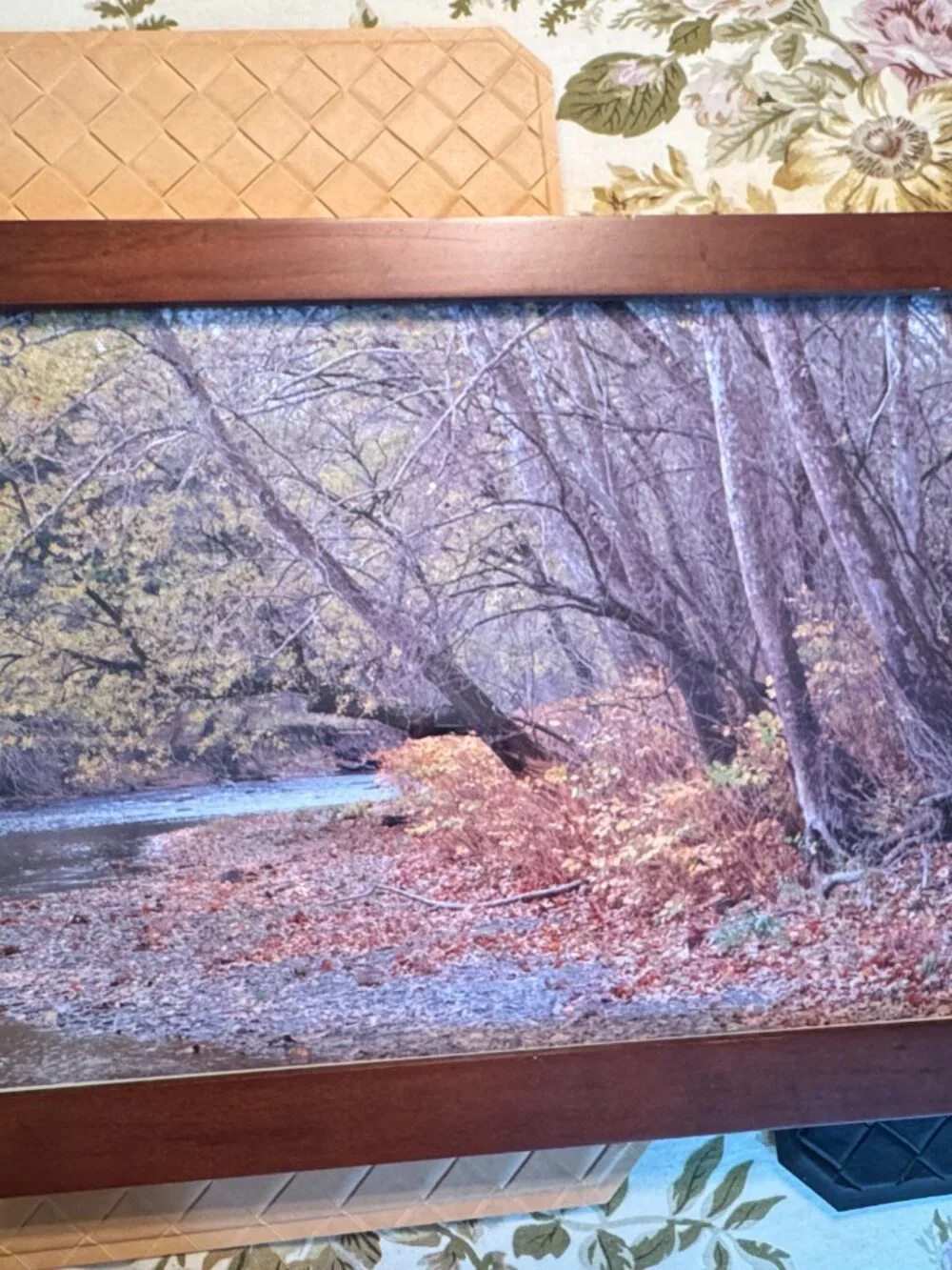 Colorful Fall Landscape Photograph Framed 19